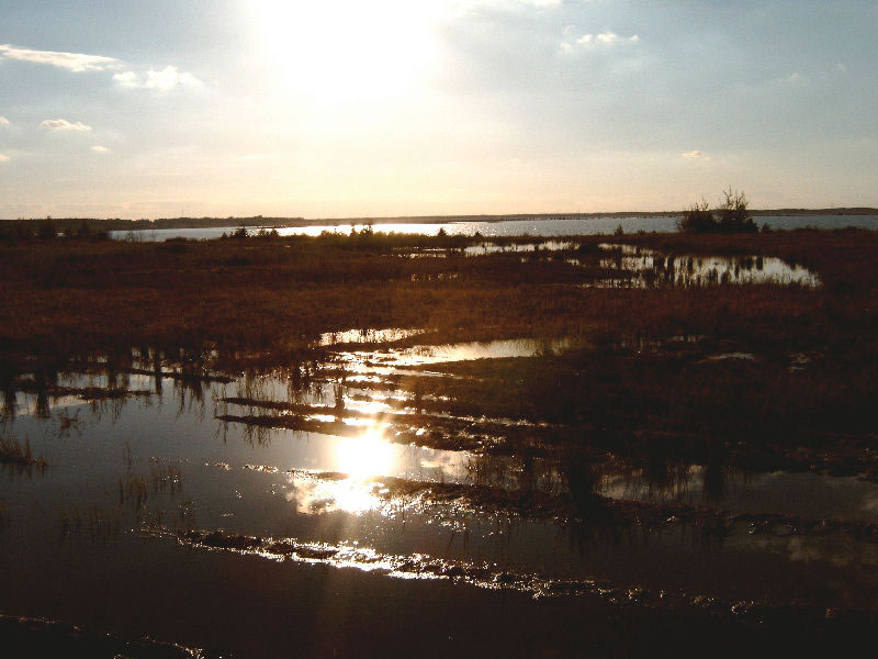 Abenddmmerung